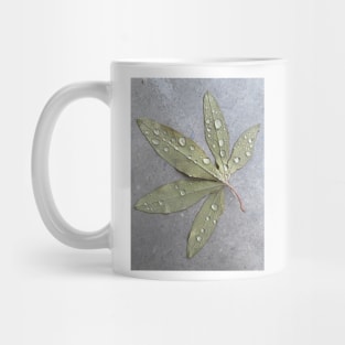 Wet passiflora leaf Mug